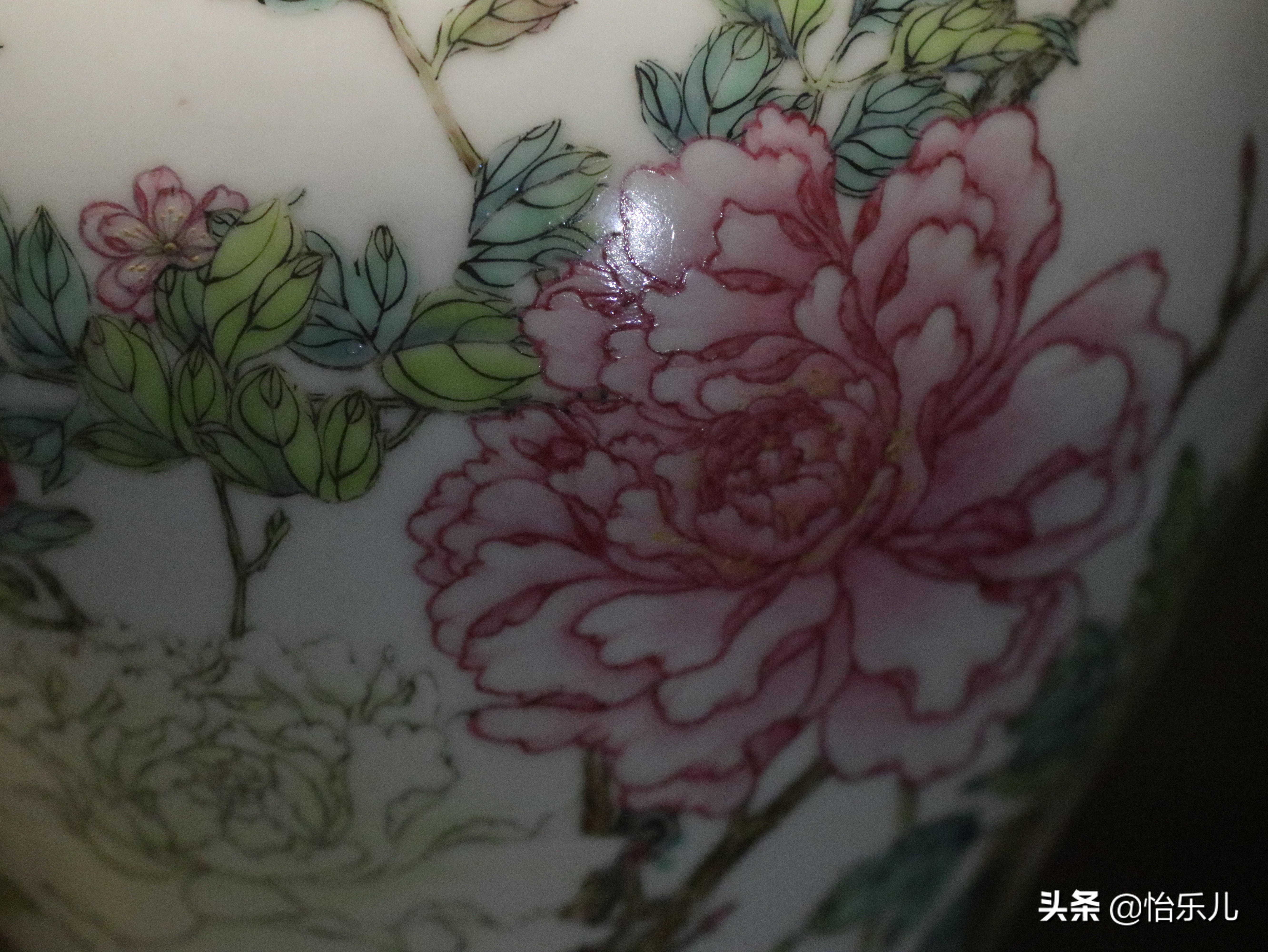 结婚证上印的这朵花不简单，被雍正称为“人间第一花”