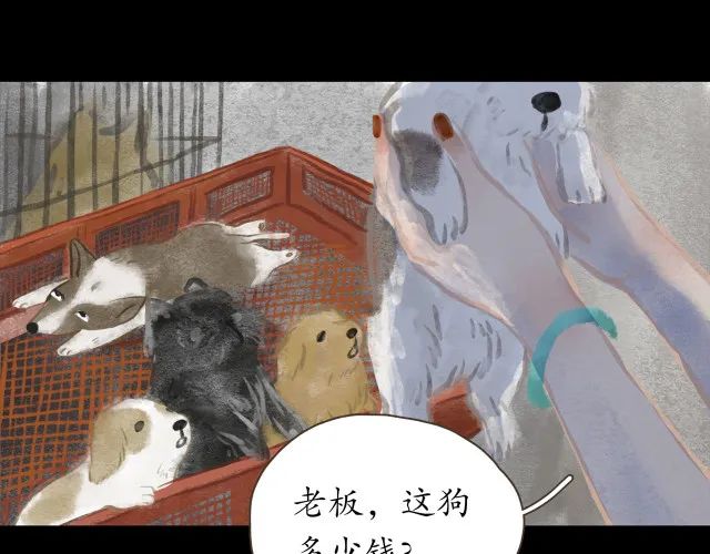 人性漫画：冷酷的女孩