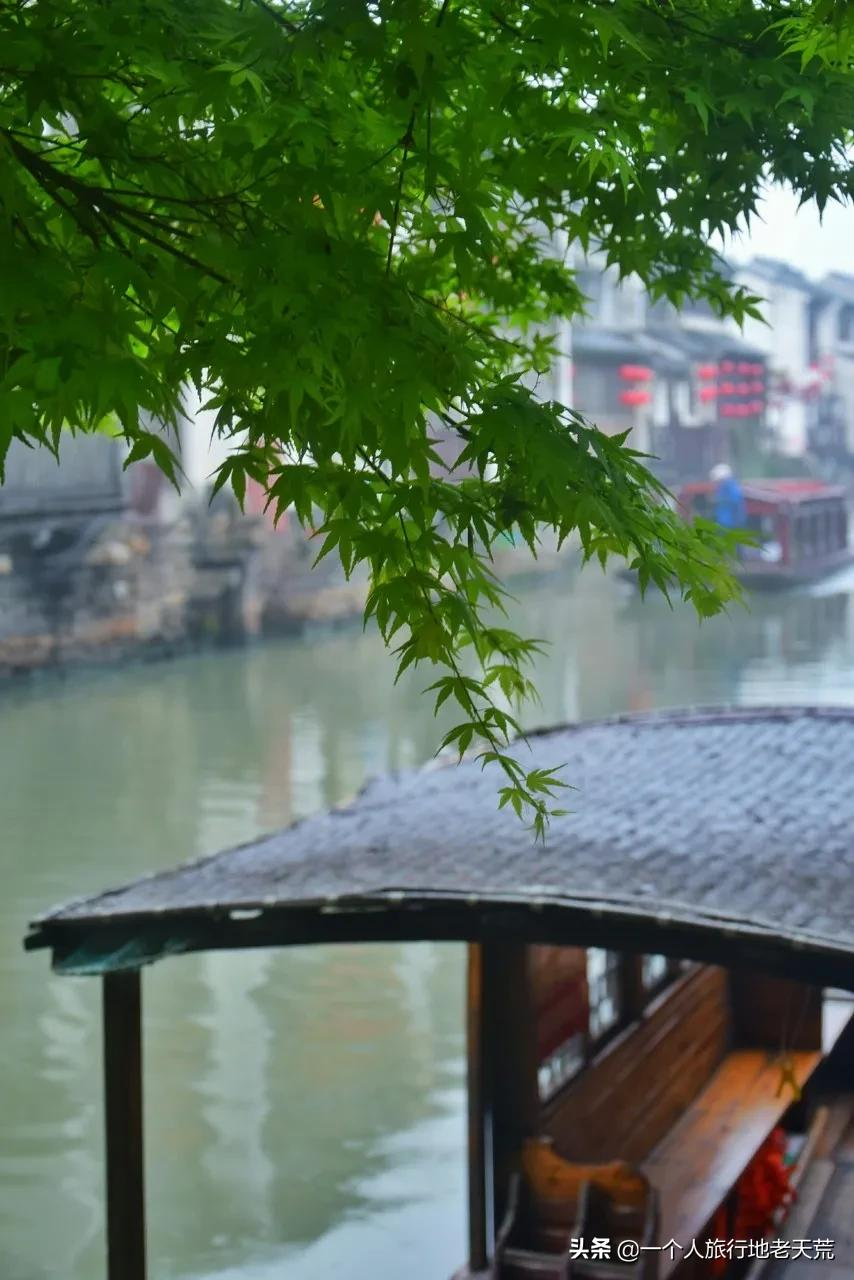 江南这么美,所以这个三月,春风十里不如下江南