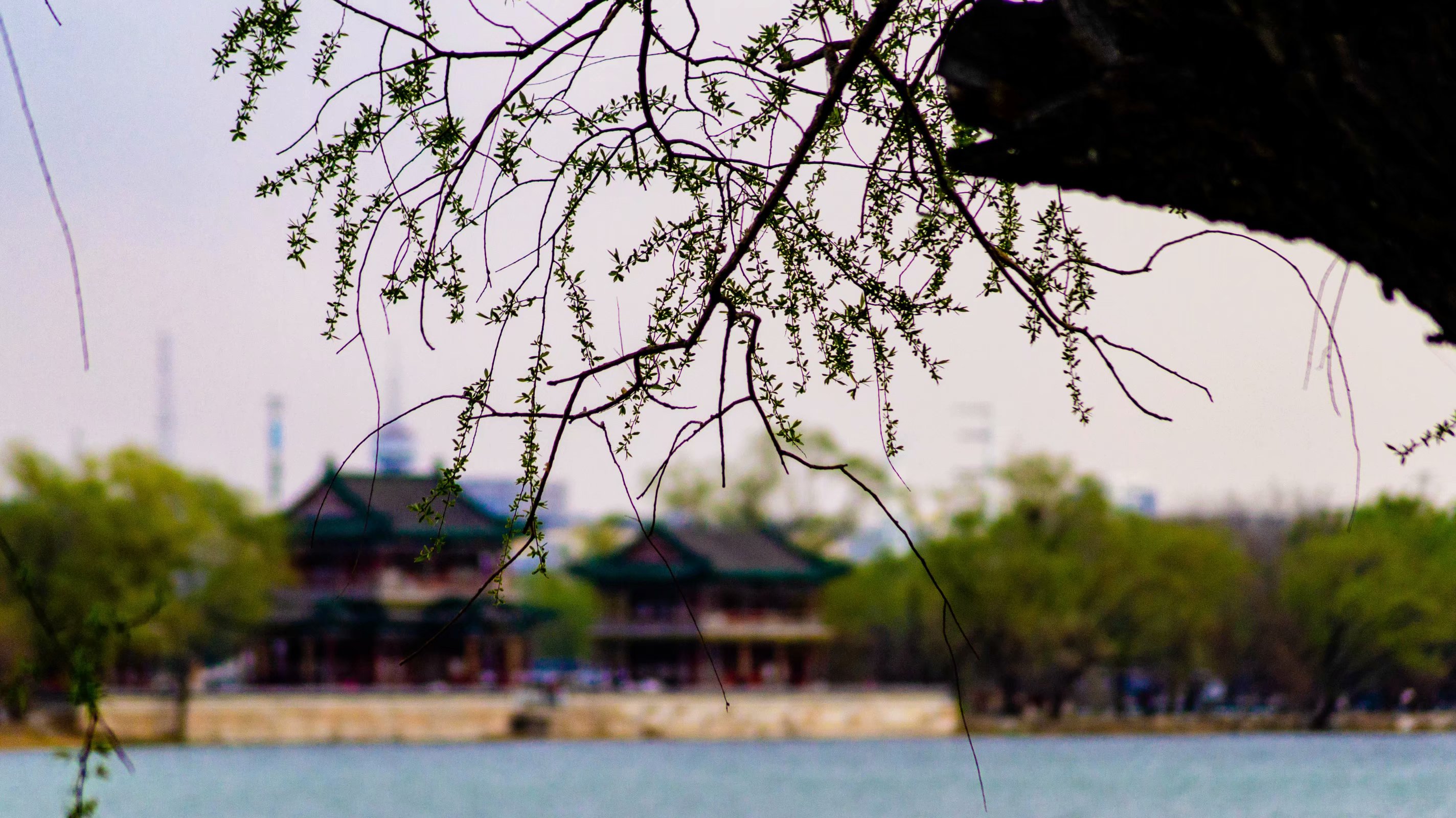 中国传媒大学是211吗（这所211是信息传播领域最高学府）