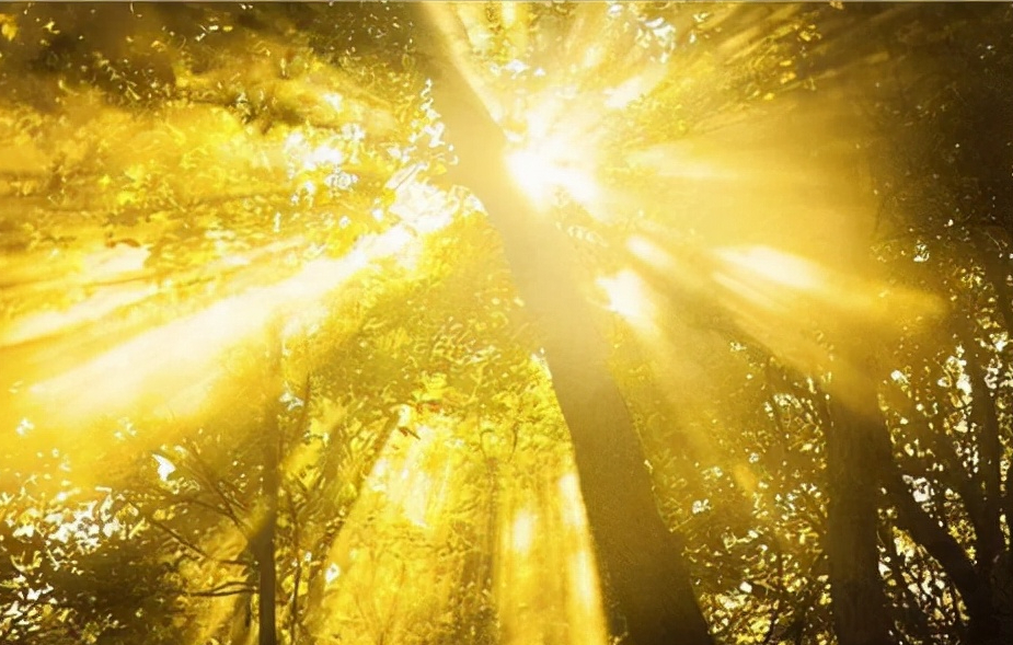 曾培养3位中国院士，日本教授加入中国高校！科学界掀起赴华浪潮