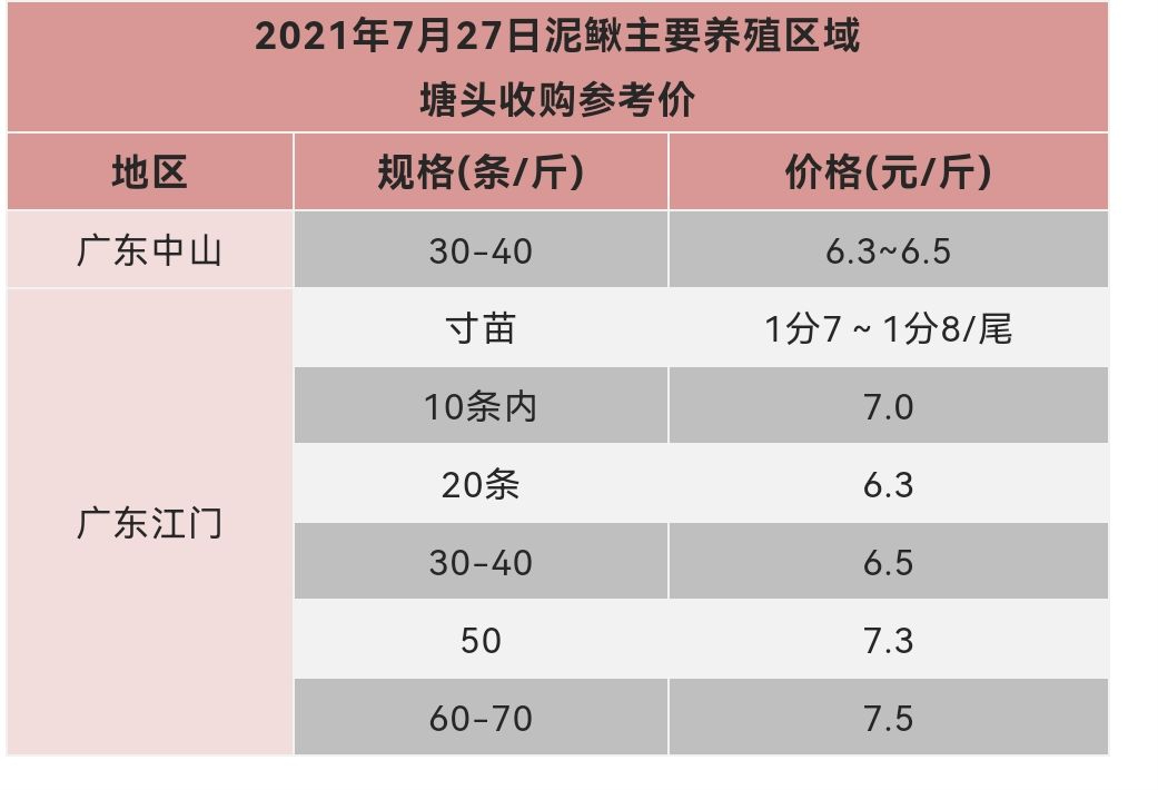 泥鳅价格过山车式跌落，病毒又雪上加霜，今年泥鳅能赔多少钱？