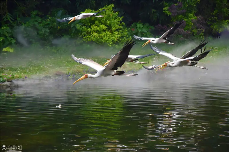 长隆欢乐世界旅游攻略景点必去（三天三夜欢乐长隆之旅）