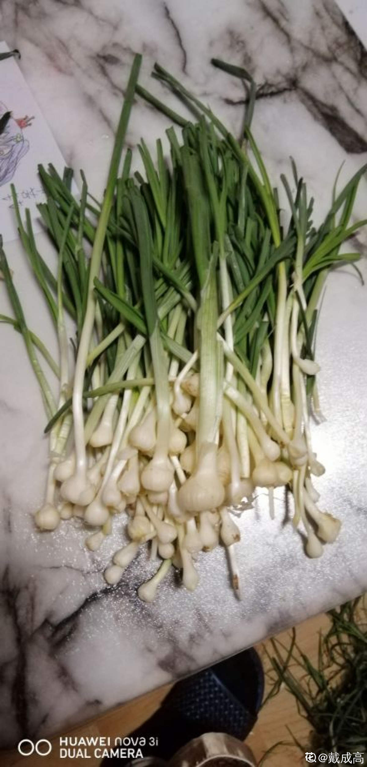 山葱也是一种经常在山上生长的一种野菜,尤其是到了春天的时候,山葱的