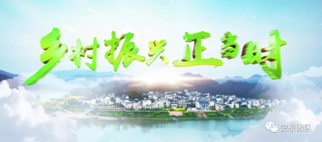 农村股份经济合作社建设的现状分析