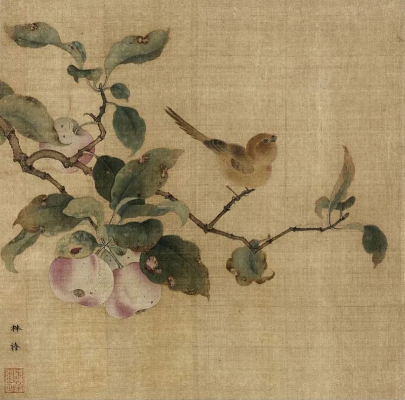 桃子的寓意和象征是什么（古代舌尖上的水果味）