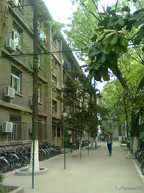 百年名校南京大学一日游，八年前的老照片带你回忆南大