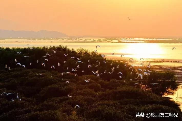 广州出发-广西容县3天游｜醉美中国风，民国小镇，旗袍秀