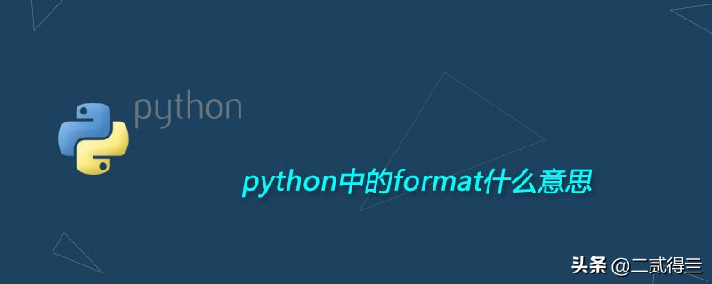python中的format什么意思