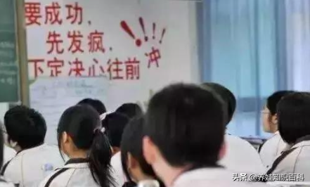 2小时1200元的北大家教:小学数学怎么学?放慢心态、摒弃功利性
