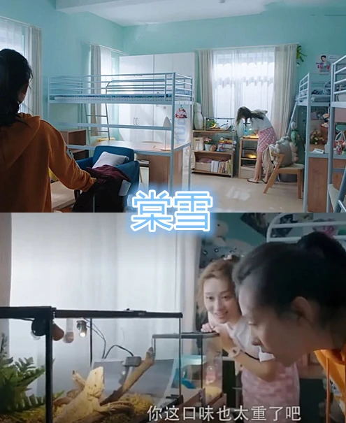 女大学宿舍电视剧（校园偶像剧的豪华宿舍）