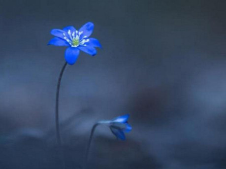 分手后，如果经过这么长时间没有任何联系，很难挽回了