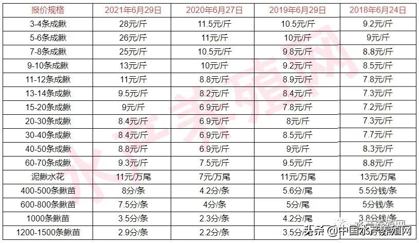 泥鳅苗多少钱一斤,台湾泥鳅苗多少钱一斤