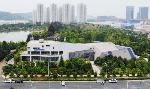 云南省最好的艺考培训机构都在这里啦