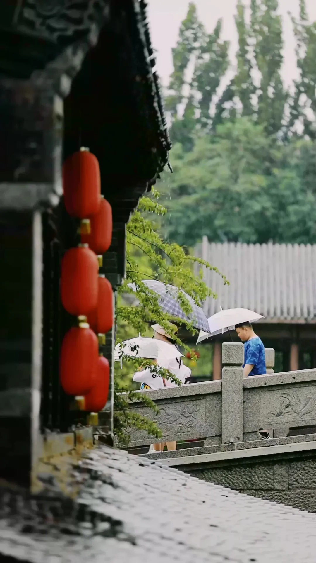 六月人间 | 古城之韵，烟雨蒙蒙让人沉醉！