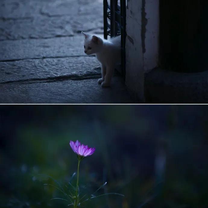 风清月朗夜阑珊，人间绝美自清欢