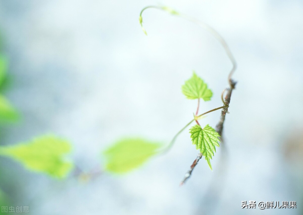 阅读分享｜高手制作PPT的五大步骤，以及和设计师相差的7个细节