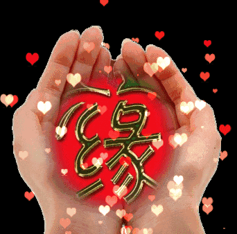 《相遇如歌，携手共度余生》