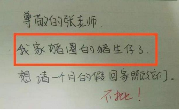 大学生“奇葩”请假条，理由让辅导员无言以对，只能默默同意