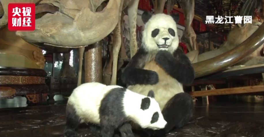 查，住建部门出手了！违建别墅，不仅清查，更要查清！