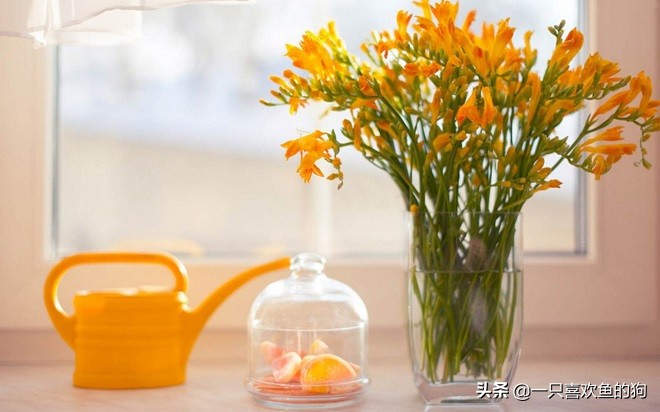 时光荏苒，我心依旧：怀念那些年旧日的温暖与美好