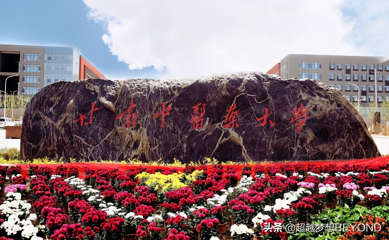 甘肃中医药大学2020年各省本科批次录取分数统计（含位次）