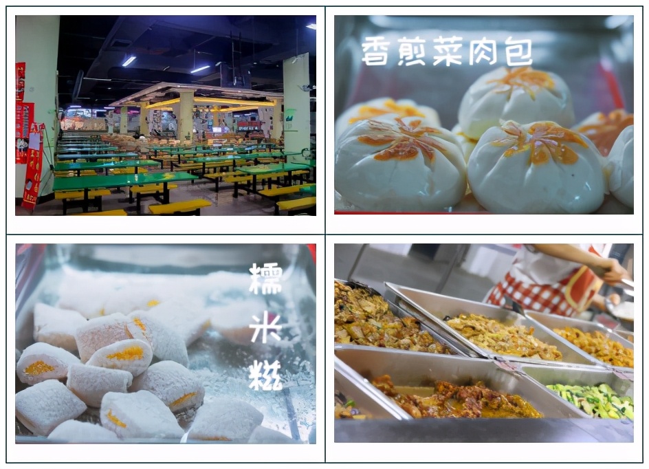 高职高考必看｜广东理工职业学院