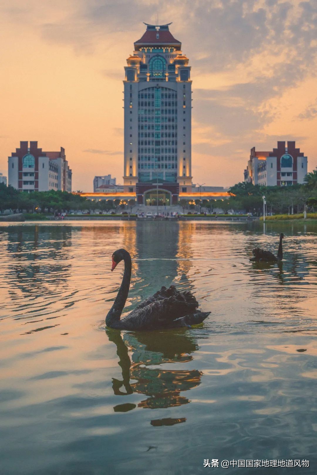 廈門大學校門廈門大學