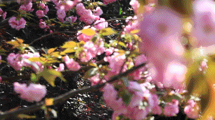 走出蛟龙号设计师、世界五百强总裁，创下多个第一，南华大学超火