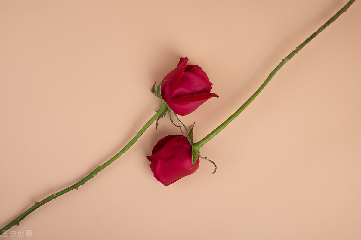 犹豫的天秤座男偏爱哪类女生