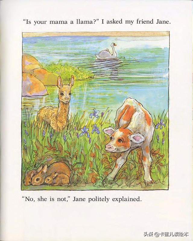 英文有声绘本《Is Your Mama a Llama》你的妈妈是羊驼吗？