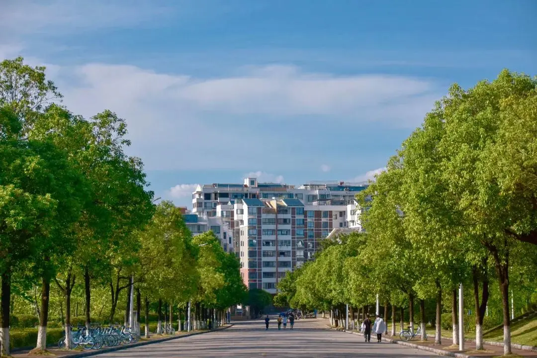 桂林理工大学公共管理硕士（MPA）历年招生及复试调剂分析