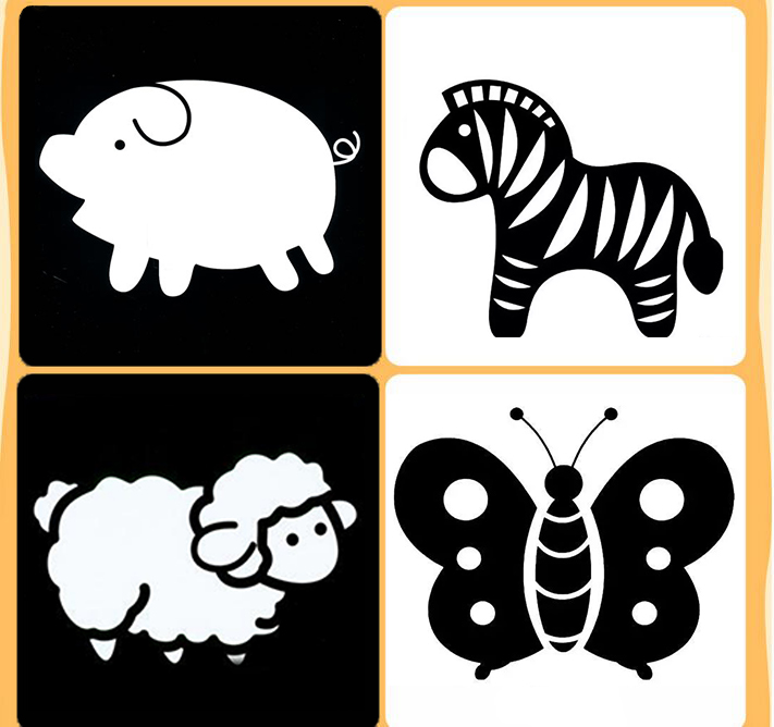 训练宝宝视觉发育的黑白卡有用吗?怎么使用?各位家长了解吗?