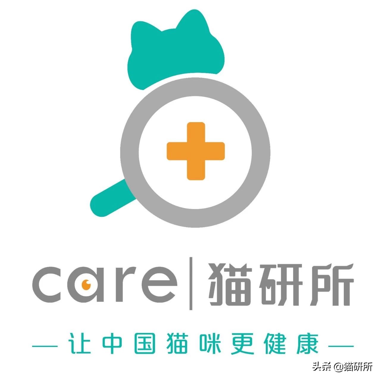 铲屎官必读：猫癣的家庭诊断与用药指南