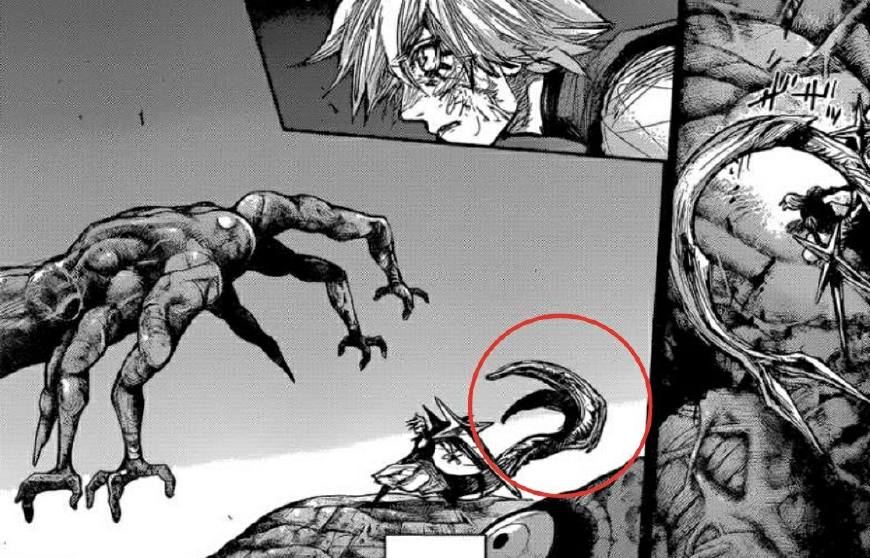 东京re:变龙后的金木有多强,各种赫子随便变,连董香的也不放过