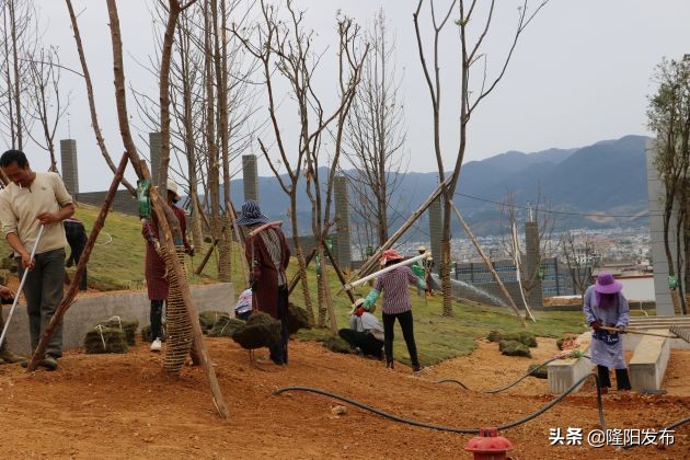 保山天立学校今年9月建成投用