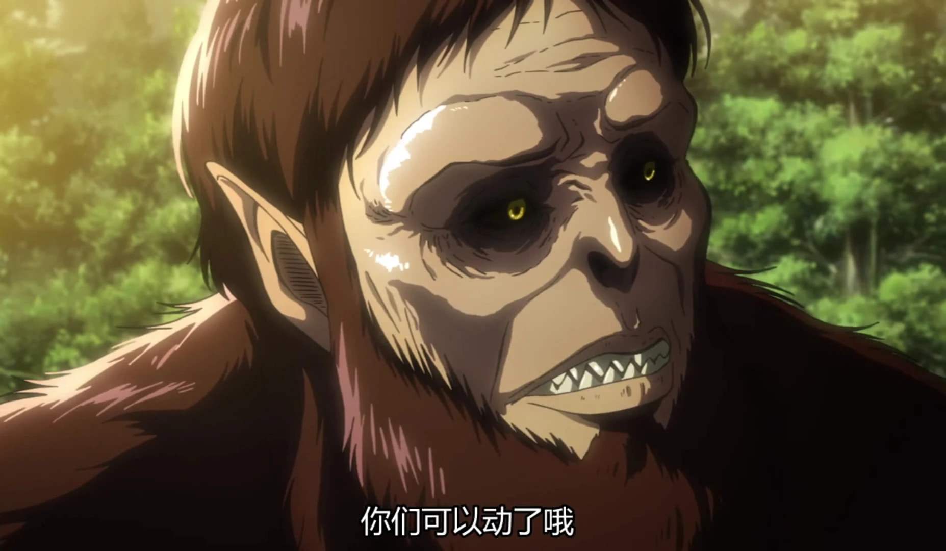 盘点一下九大巨人(剧透慎点)