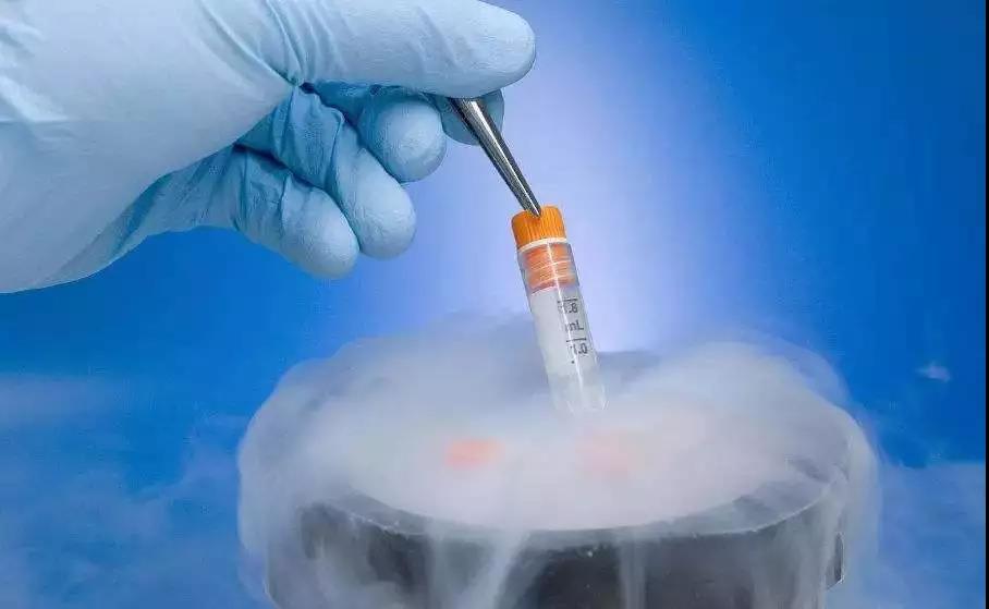 65岁大妈与28岁小伙相恋想生“试管婴儿”，还是算了吧