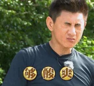 如何彻底祛除猫咪尿骚味？4步教你轻松消灭气味炸弹