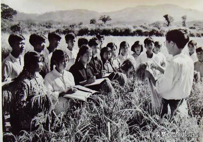 江西青春往事：赣鄱大地上的共产主义大学