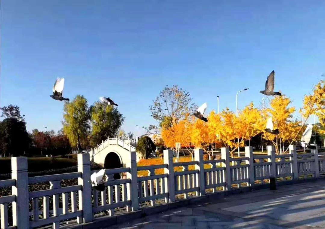 知云时代教育集团 | 辽宁师范大学海华学院