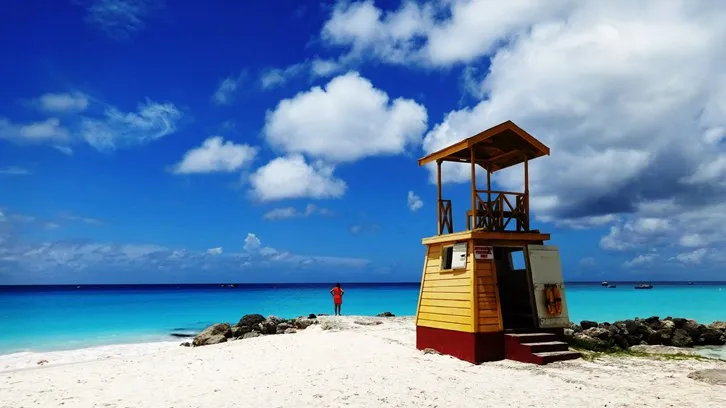 高考后留学如何申请（高考后留学7大途径）