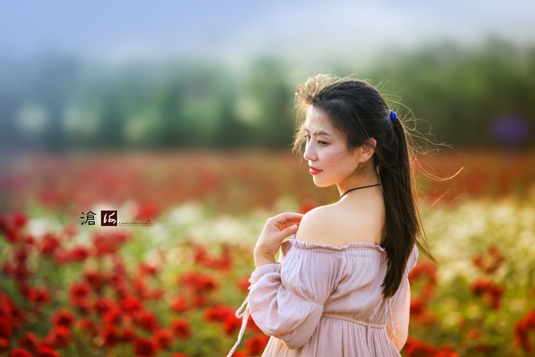 月季花鲜艳如火的画面，花海中唯美人像摄影