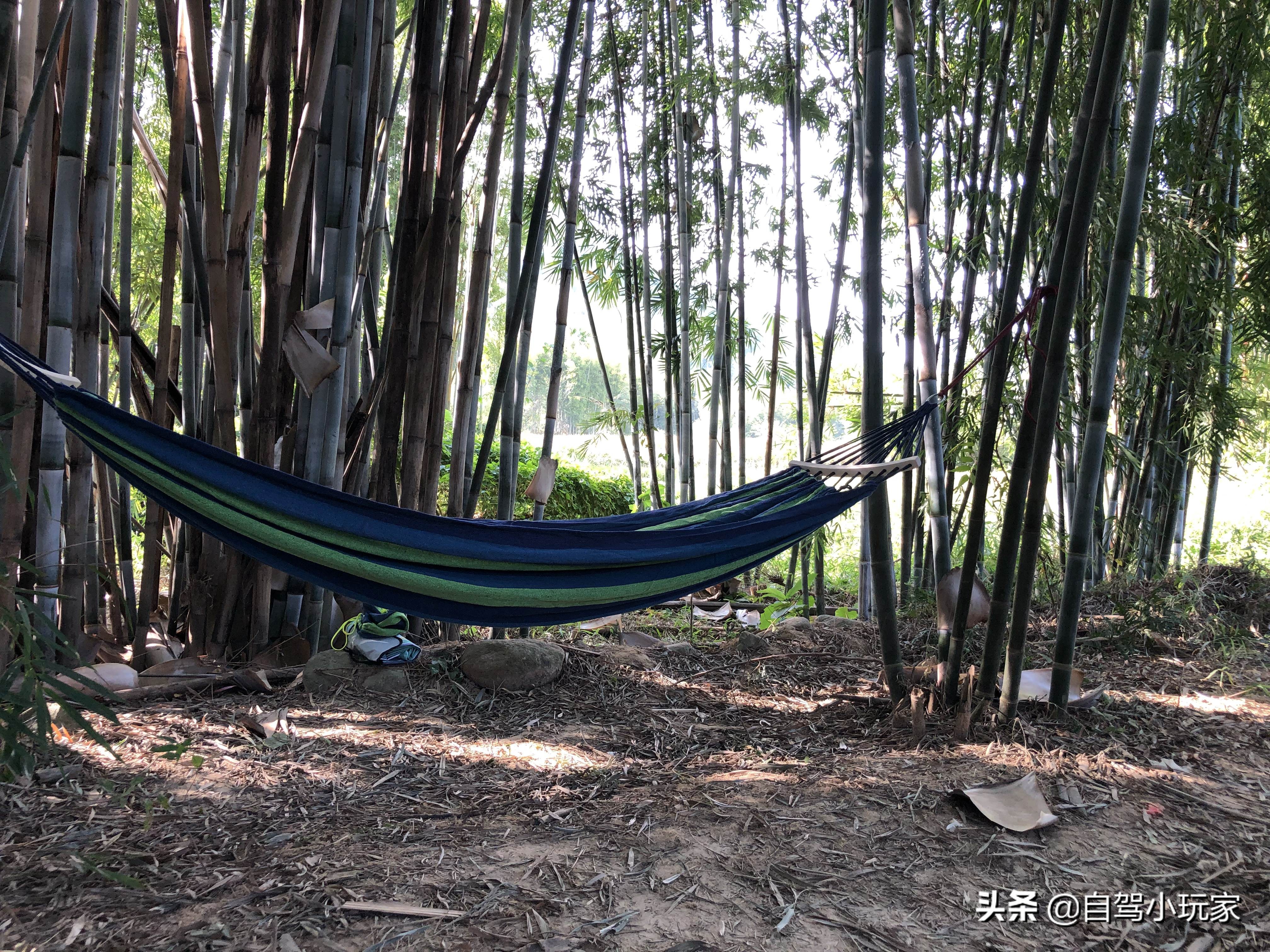 藏在惠州的一个免费“野温泉”，纯天然零污染，连婴儿都可以泡