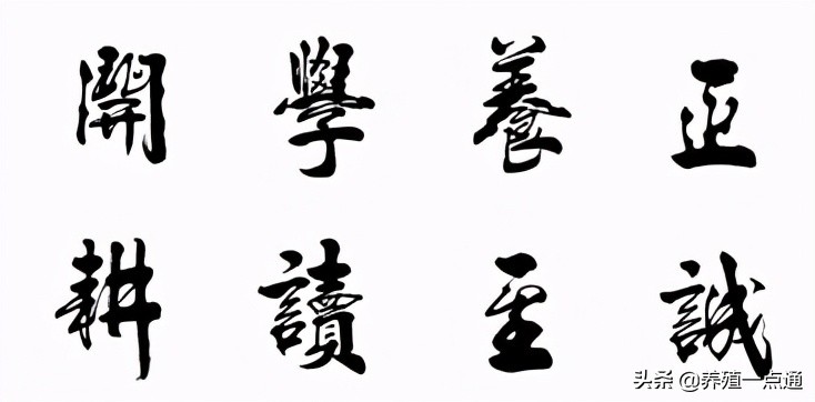 冷静（女），苗族，云南农业大学教授、博导，饲料配方专家