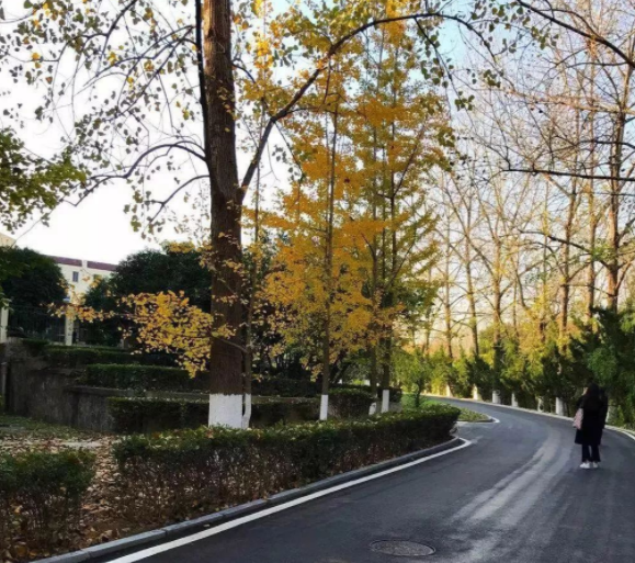 低分也能上名校，独立学院转型升级为985，中等生的机会来了