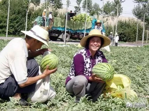 定西生活向导招聘信息（南方美女在会宁遇到的那些人和事）