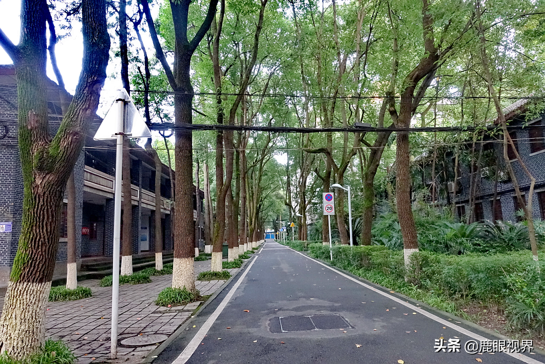 鹿眼视界 · 我的随拍之359 带你去看西华师范大学北湖校区