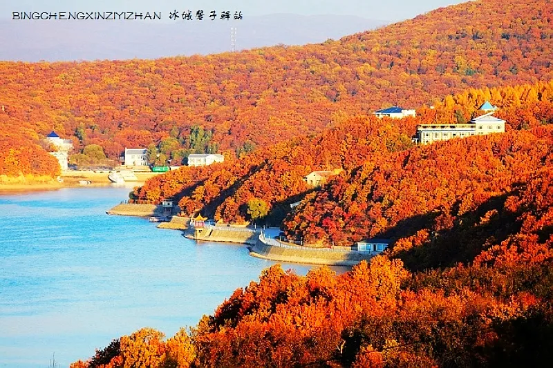 哈尔滨、黑龙江被雪藏起来的秋色什么样？100张图片让你饱览