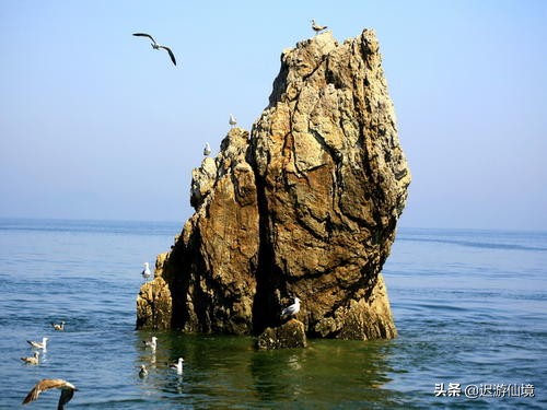 为寻庄河大骨鸡，意外发现旅游区，几处景点好神奇